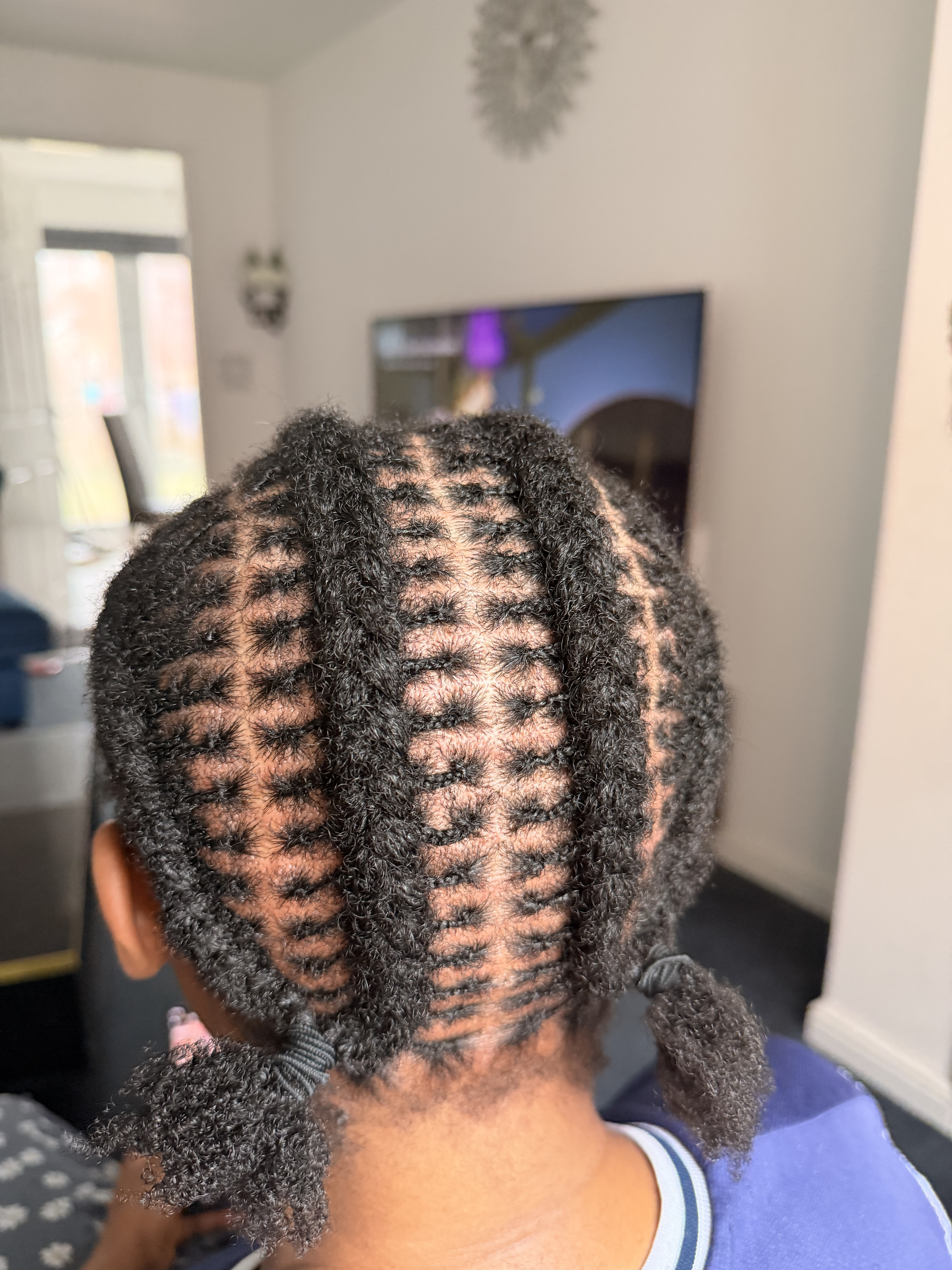 Locs Styling 6